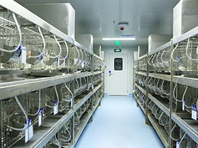 毒理和生物学评价